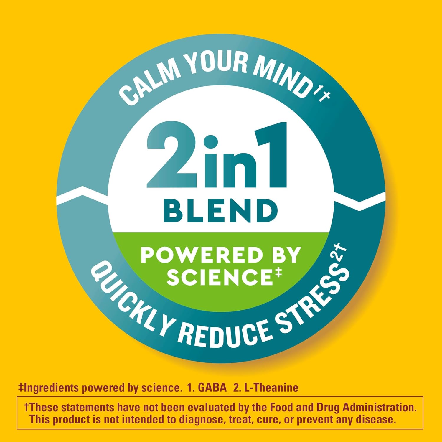 Nature Made Wellblends Stress Relief Gummies, L theanine 200mg to Help Reduce Stress, with GABA 100mg, Same Day Stress Support, 40 Strawberry Flavor Gummies