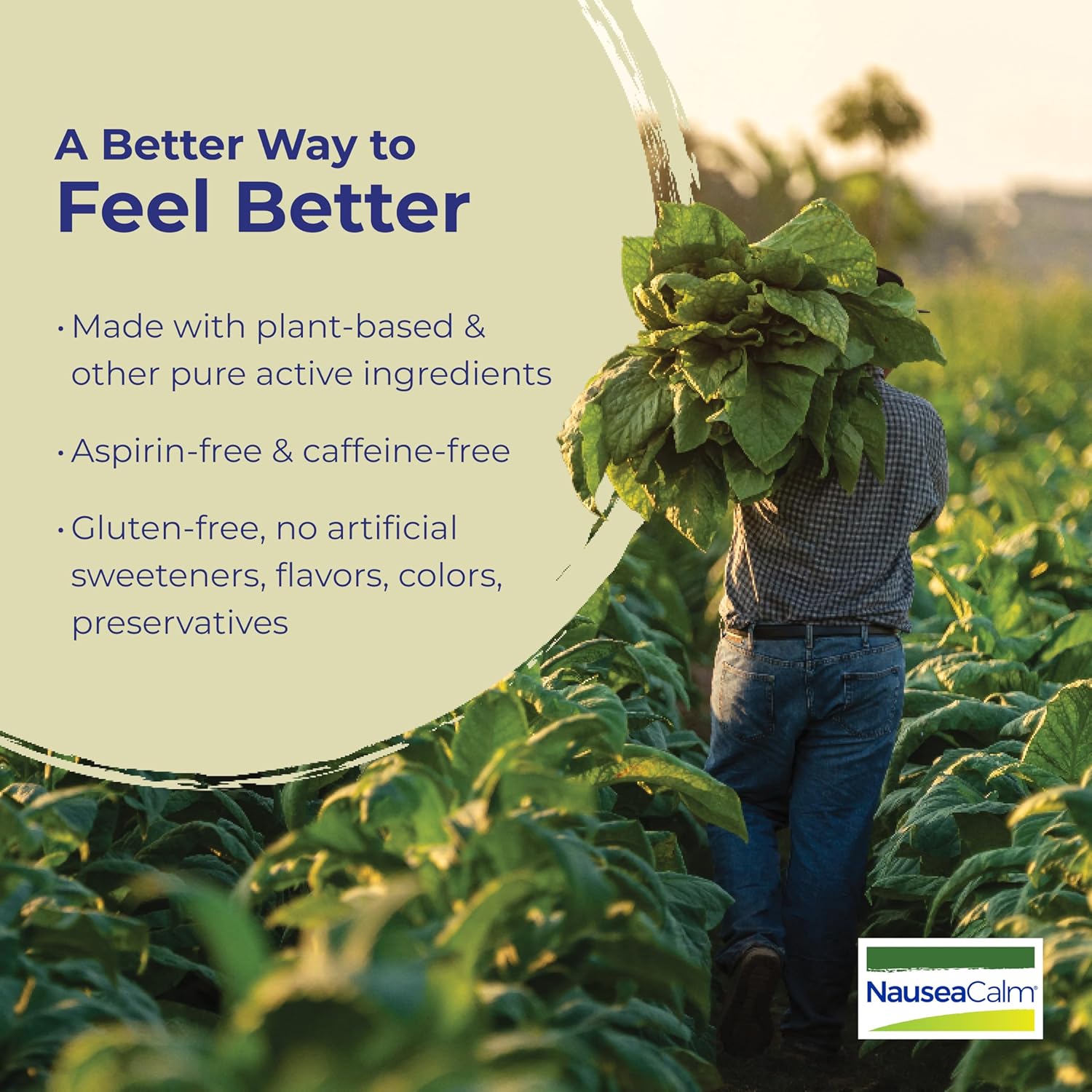 Boiron Non-Drowsy Nausea Relief - 60 Count