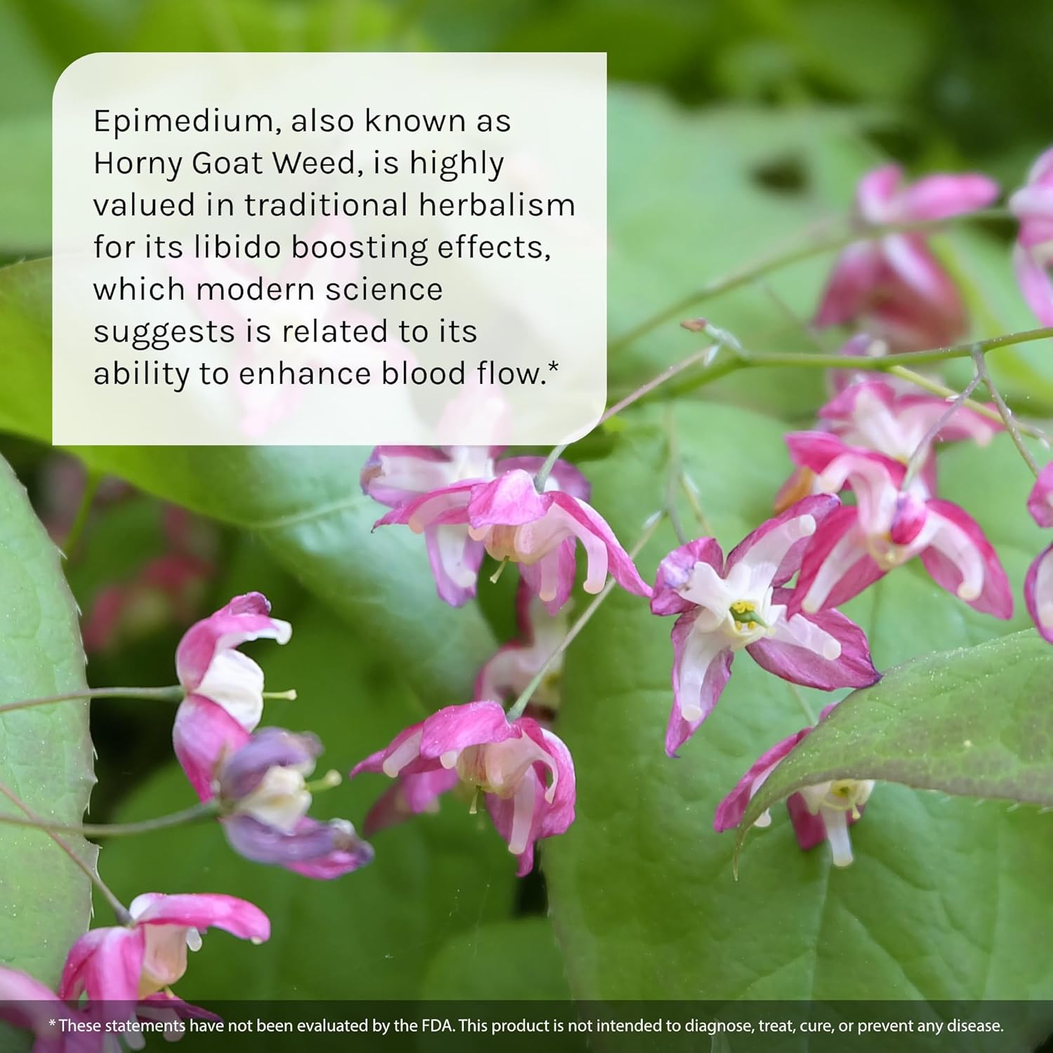 Irwin Naturals, L-Citrulline + L-Arginine, Booster for Men, 60 Liquid Soft-Gels