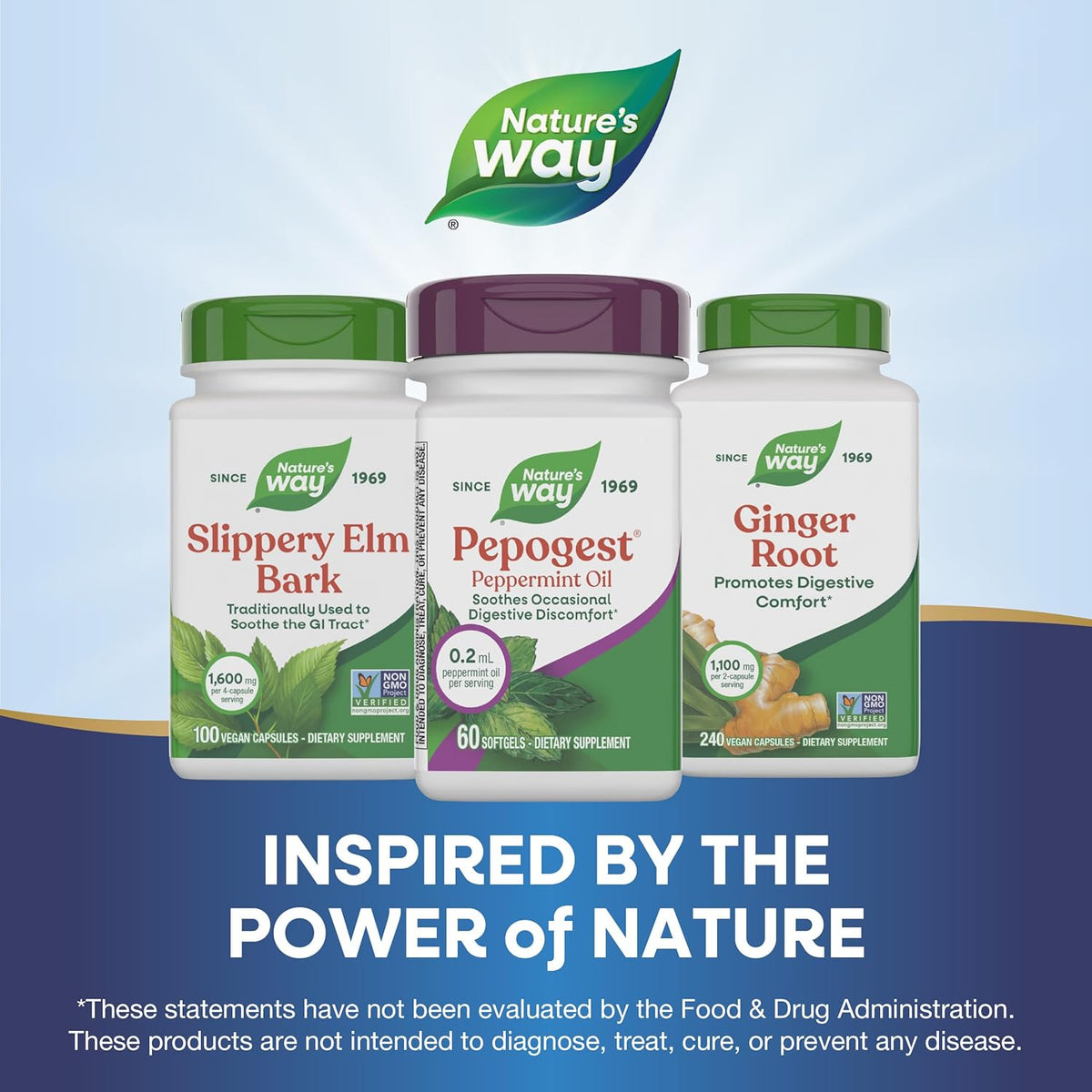 Nature's Way Pepogest Peppermint Oil - 60 CT