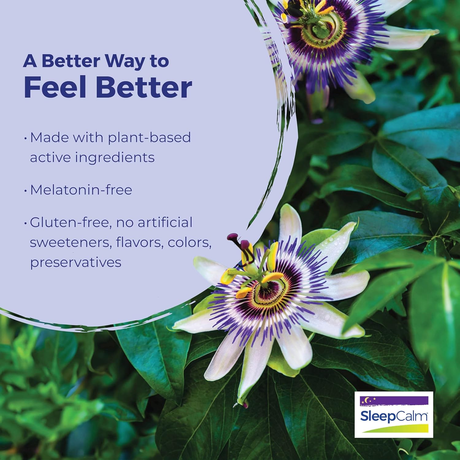 SleepCalm by Boiron Homeopathic Medicine For Sleep Relief - 60 Tablet