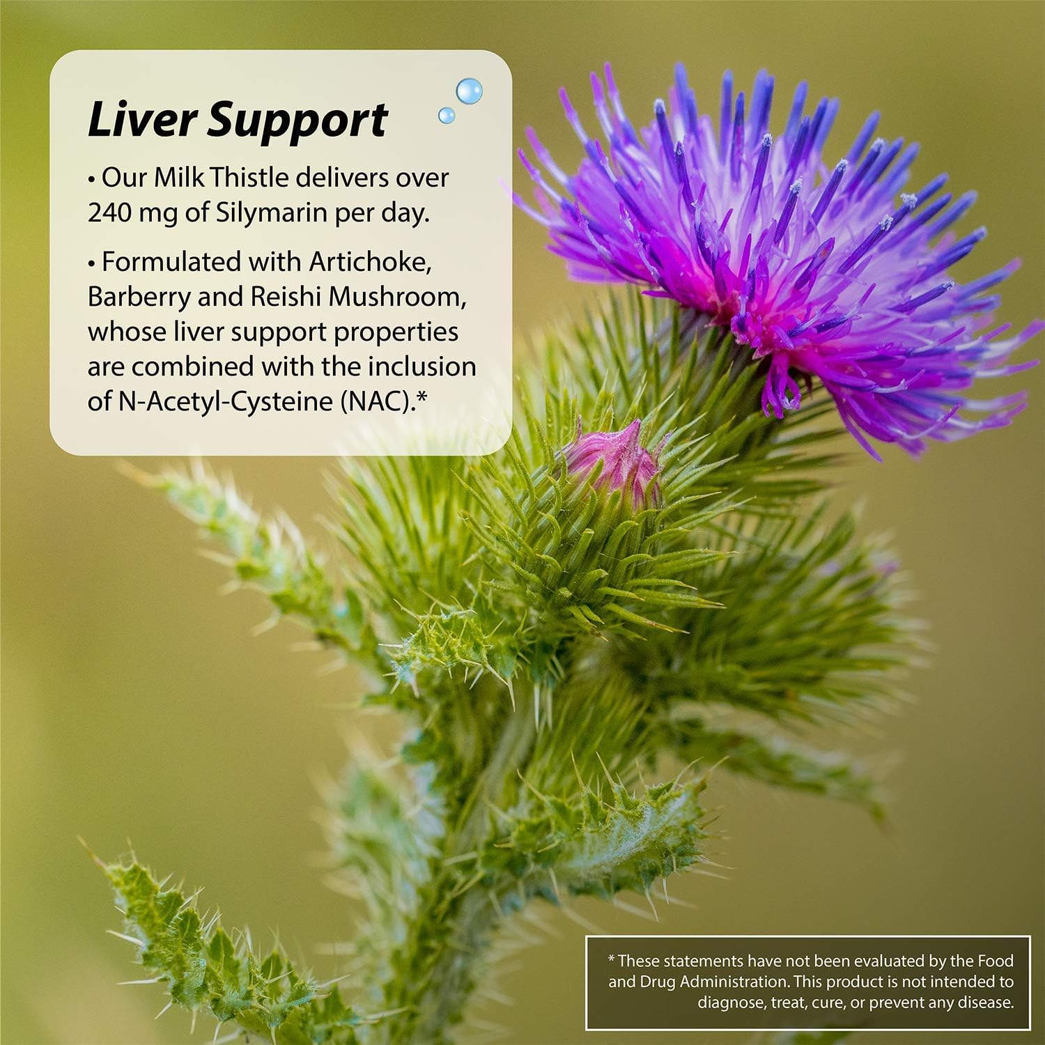 Irwin Naturals, 2-In-1 Kidney & Liver Super Cleanse™, 60 Liquid Soft-Gels