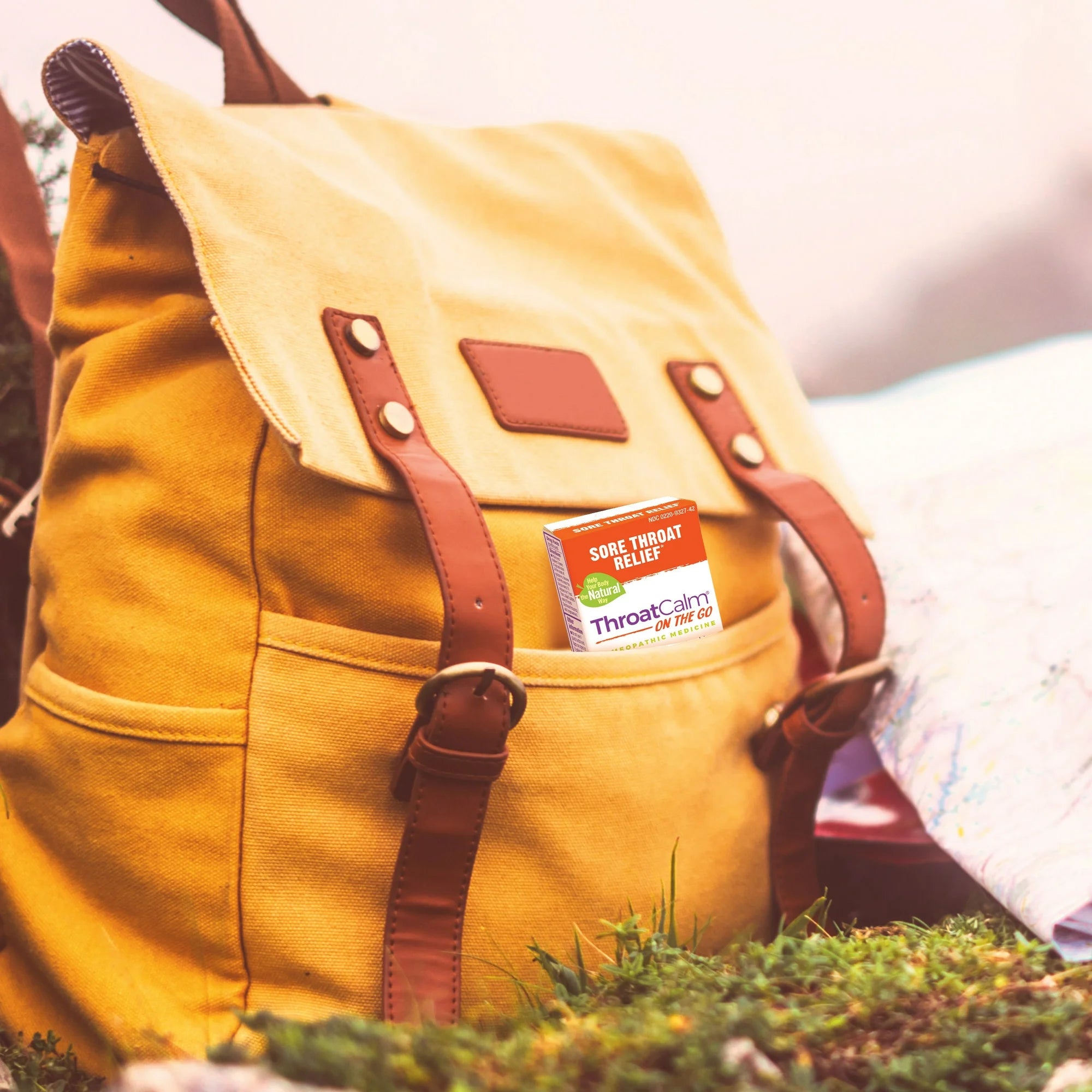 ThroatCalm On the Go by Boiron Homeopathic Medicine For Sore Throat Relief - 160 Pellet