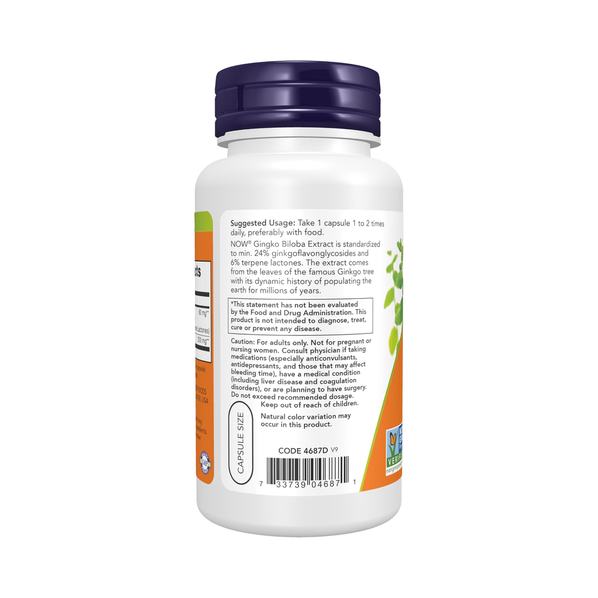 NOW Foods Ginkgo Biloba 60 mg, Veg Capsules (120 ct)