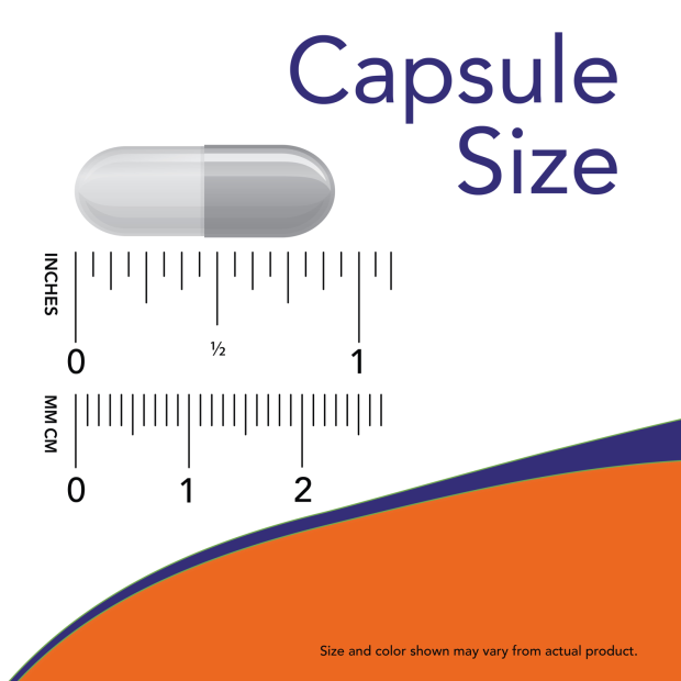 Phosphatidyl Serine 100 mg 120 Veg Capsules