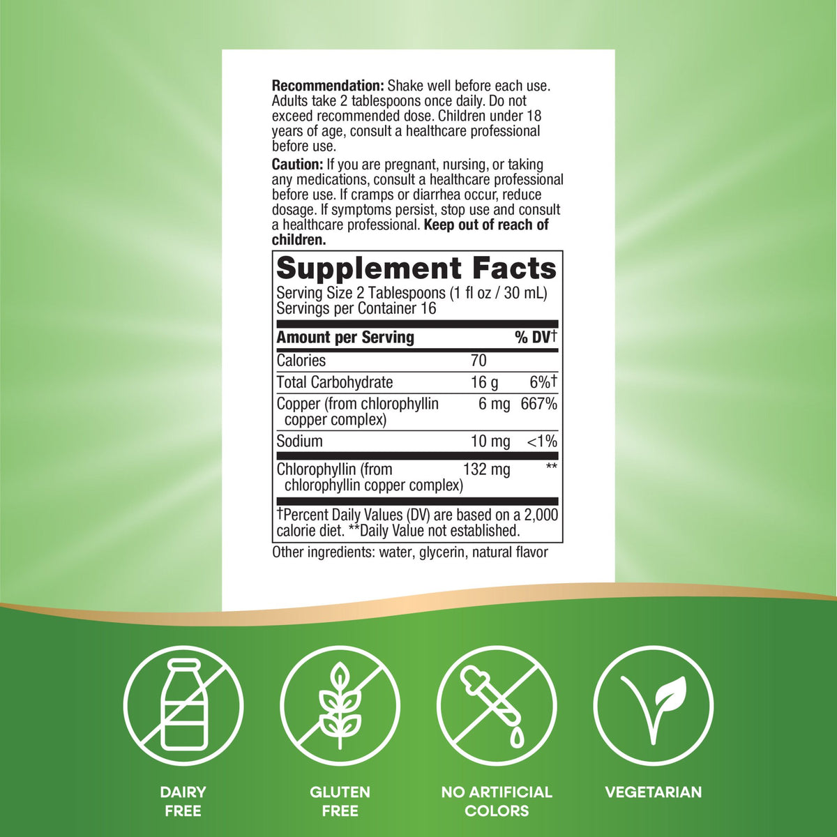 Nature’s Way Chlorofresh Liquid Chlorophyll, Internal Deodorant*, Unisex, Mint Flavored, 16 Fl Oz