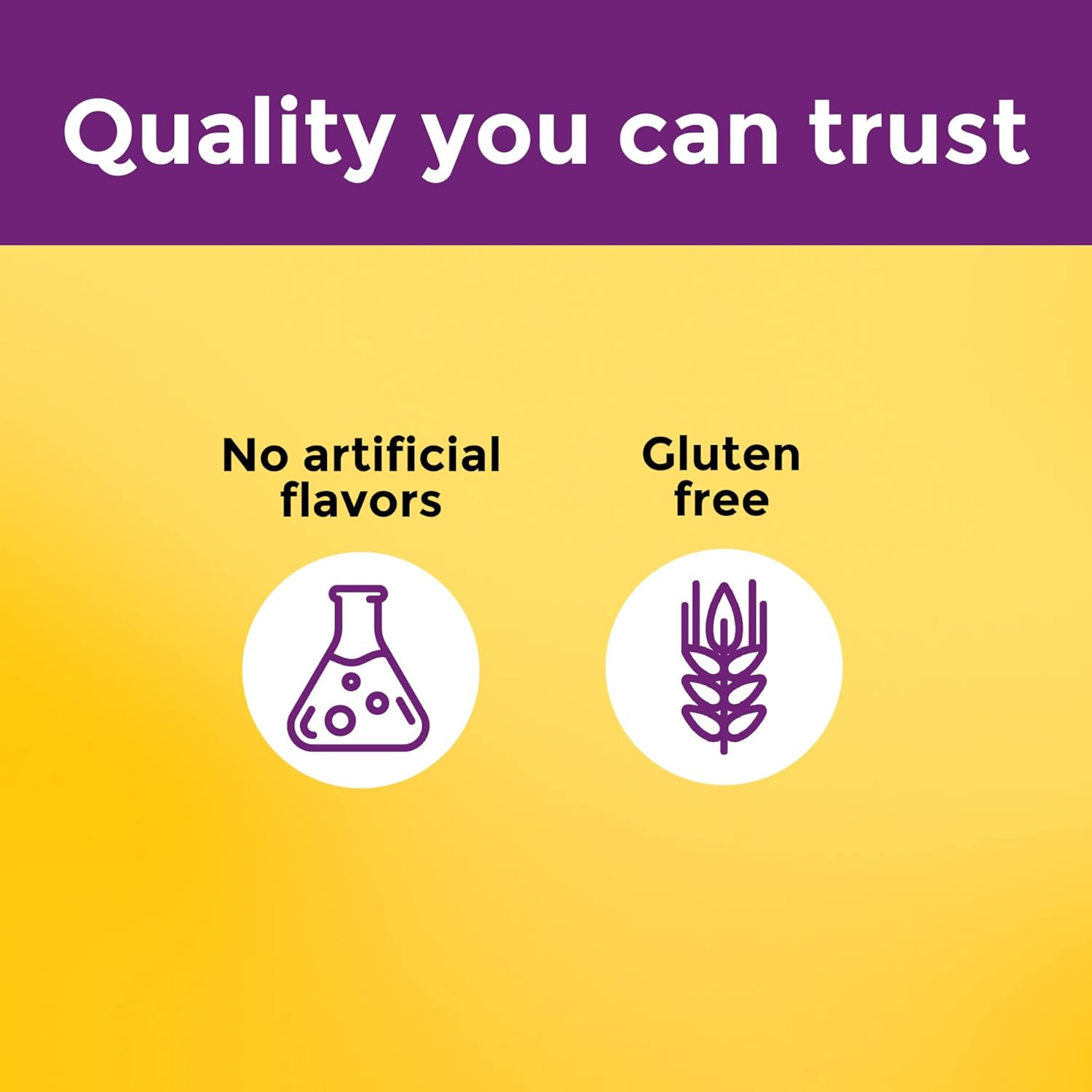 Nature Made Multi + Elderberry 60 Caps