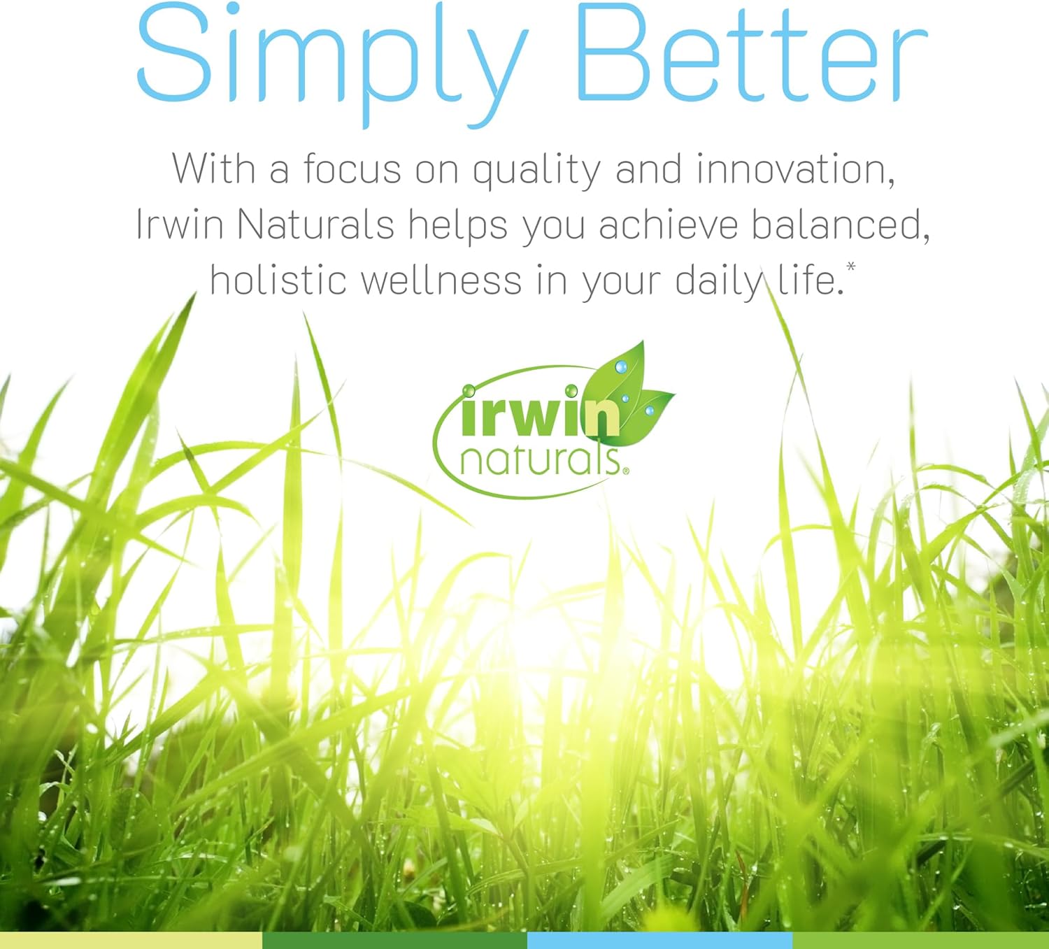 Irwin Naturals Mental Clarity Information Retention - 60 Liquid Soft-Gels - Helps Increase Attention to Detail & Retain and Recall Information Faster - 30 Total Servings
