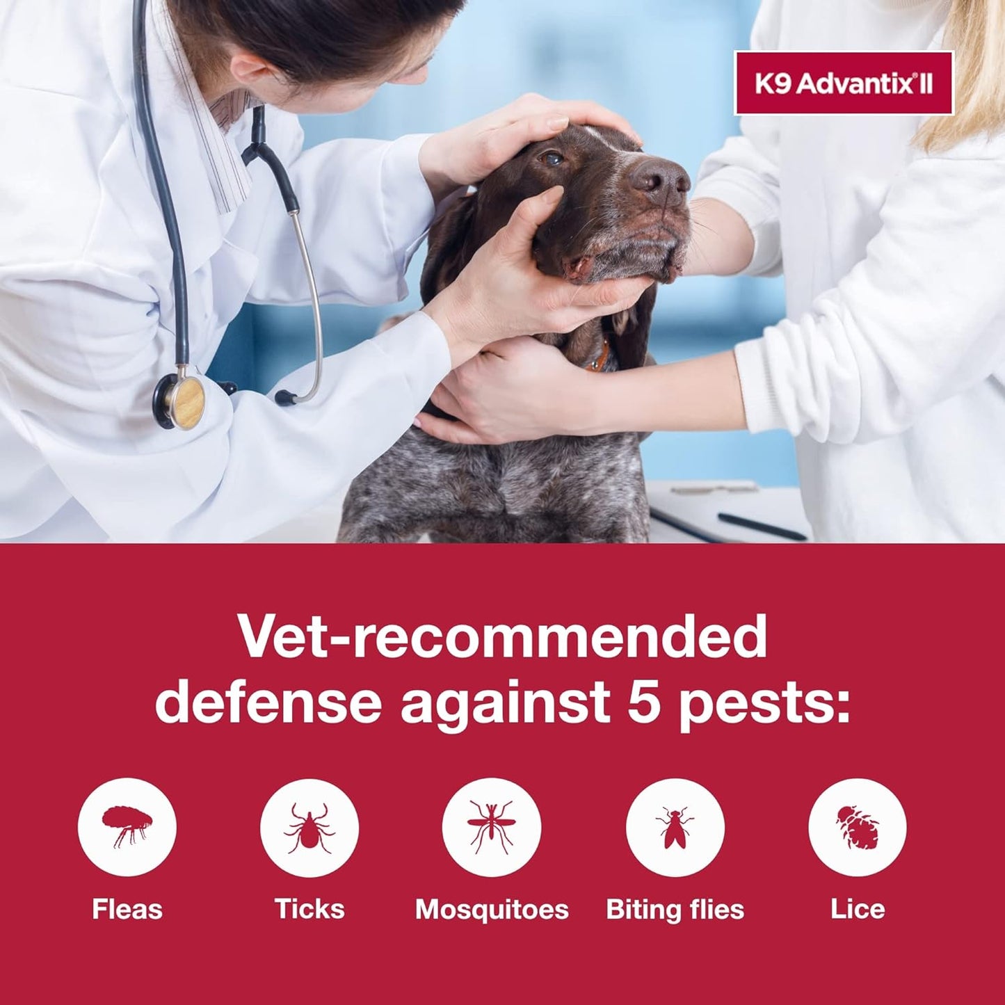 K9 Advantix II Large Dog Vet-Recommended Flea, Tick & Mosquito Treatment & Prevention | Dogs 21 - 55 lbs. | 4-Mo Supply