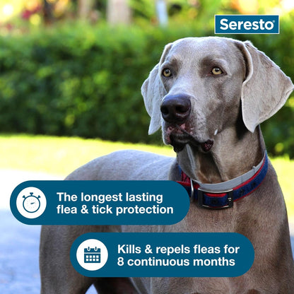 Seresto Large Dog Vet-Recommended Flea & Tick Treatment & Prevention Collar for Dogs Over 18 lbs. | 2-Pack