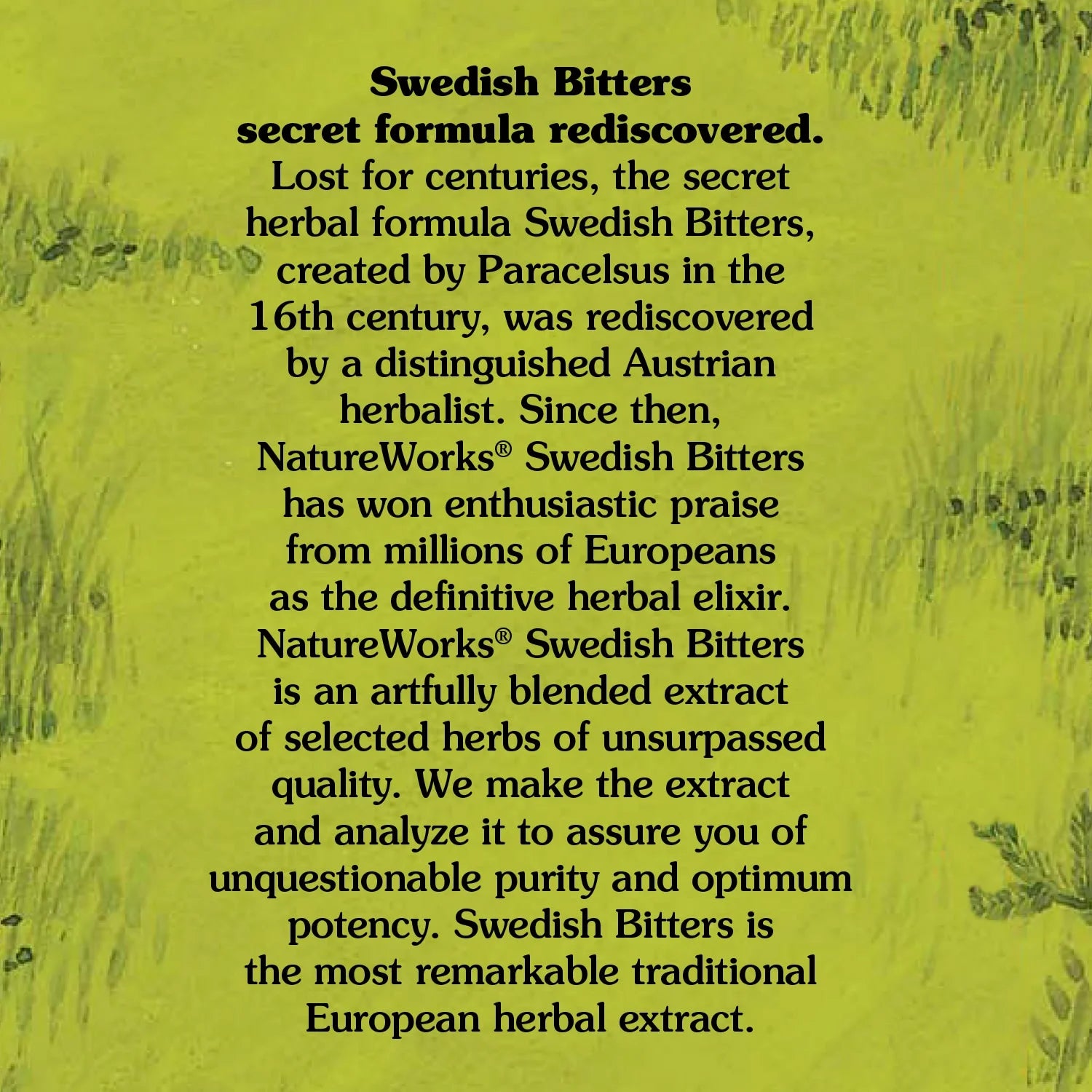 NatureWorks® Swedish Bitters Traditional European Herbal Extract Used for Digestion, 8.45 fl. oz.