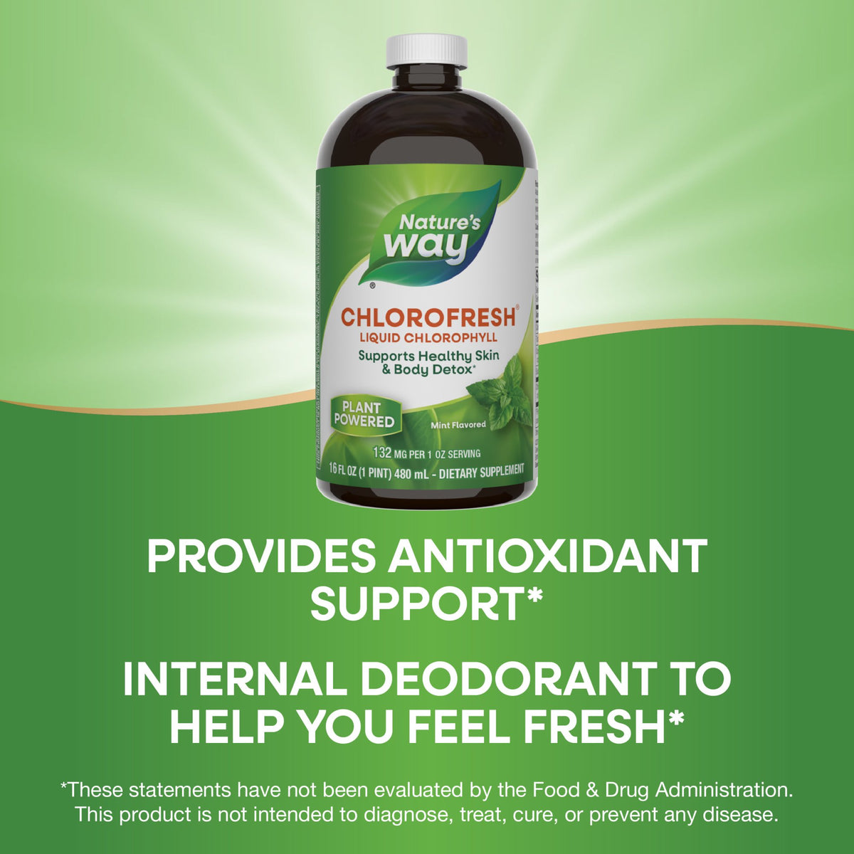 Nature’s Way Chlorofresh Liquid Chlorophyll, Internal Deodorant*, Unisex, Mint Flavored, 16 Fl Oz