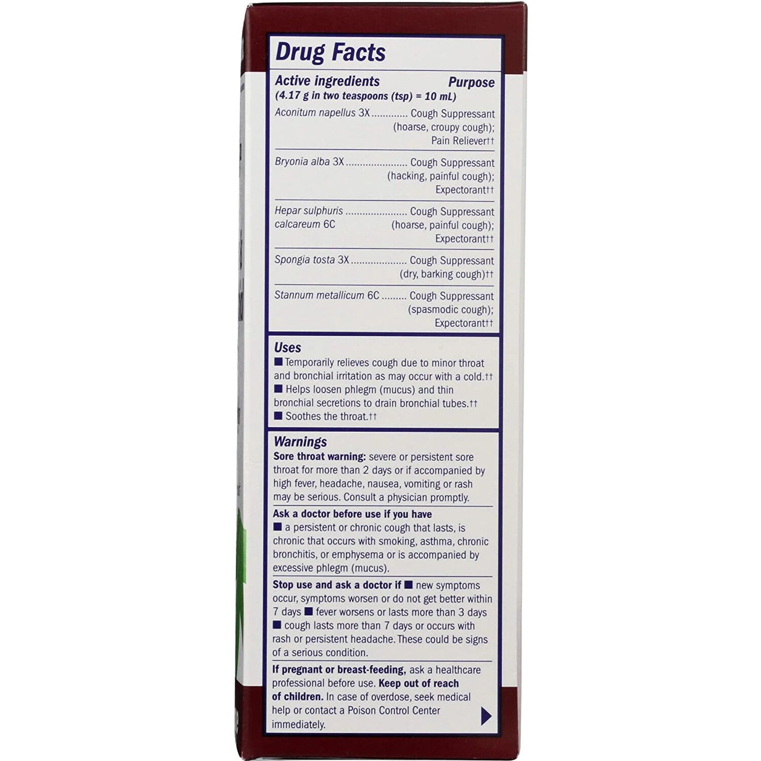 Boericke & Tafel Daytime Cough & Bronchial Syrup 8 fl oz Liquid